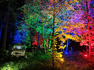 Волшебный лес ожил: уникальная подсветка в Динополисе